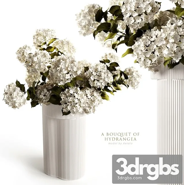 A bouquet of hydrangea 2 A bouquet of hydrangea 2