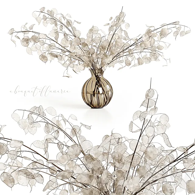 A bouquet of lunaria 3D Model