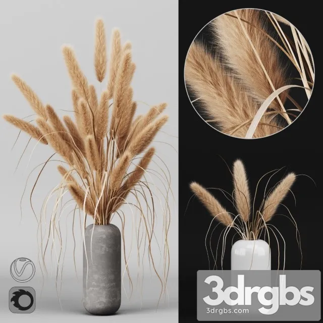 A Bunch of Pampas 2 3D Model Download