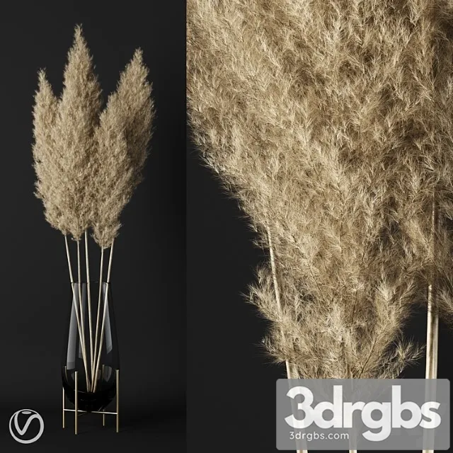 A Bunch Of Pampas 3 3D Model Download