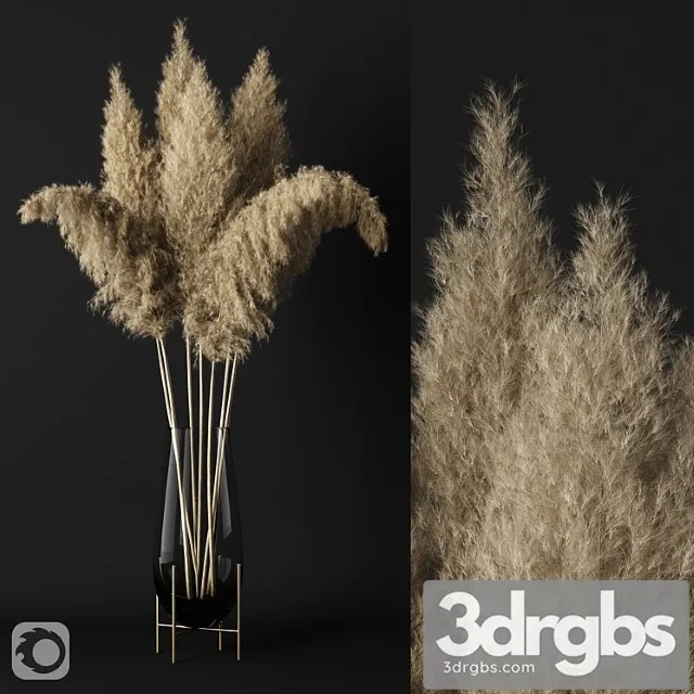 A Bunch Of Pampas 3D Model Download