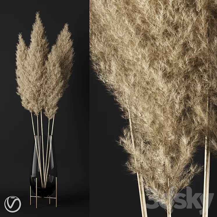 A bunch of pampas 3D Model