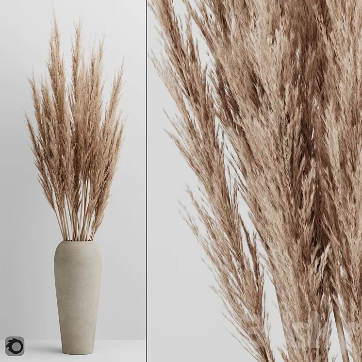 A bunch of Pampas 4 3D Model