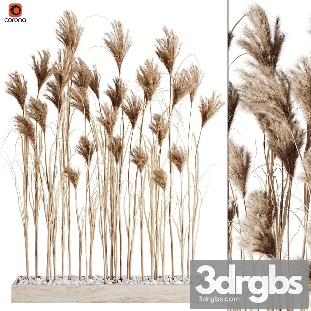 A Bunch Pampas 7 3D Model Download