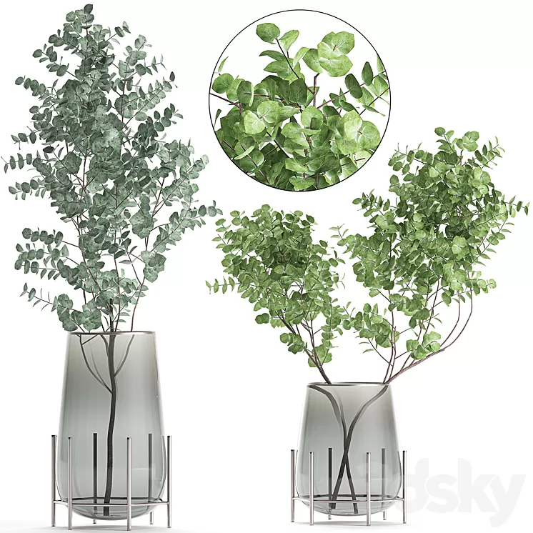 A collection of beautiful bouquets of branches with Eucalyptus leaves in a shelved vase. Set of 100. 3D Model