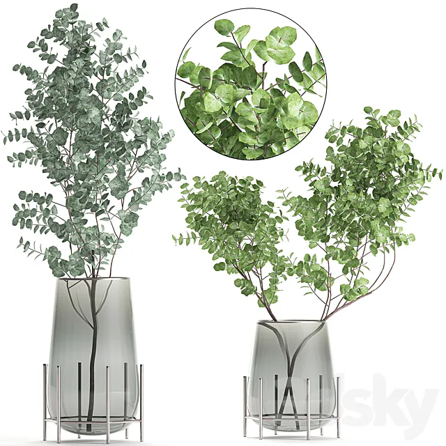 A collection of beautiful bouquets of branches with Eucalyptus leaves in a shelved vase. Set of 100. 3DModel A collection of beautiful bouquets of branches with Eucalyptus leaves in a shelved vase. Set of 100. 3DModel