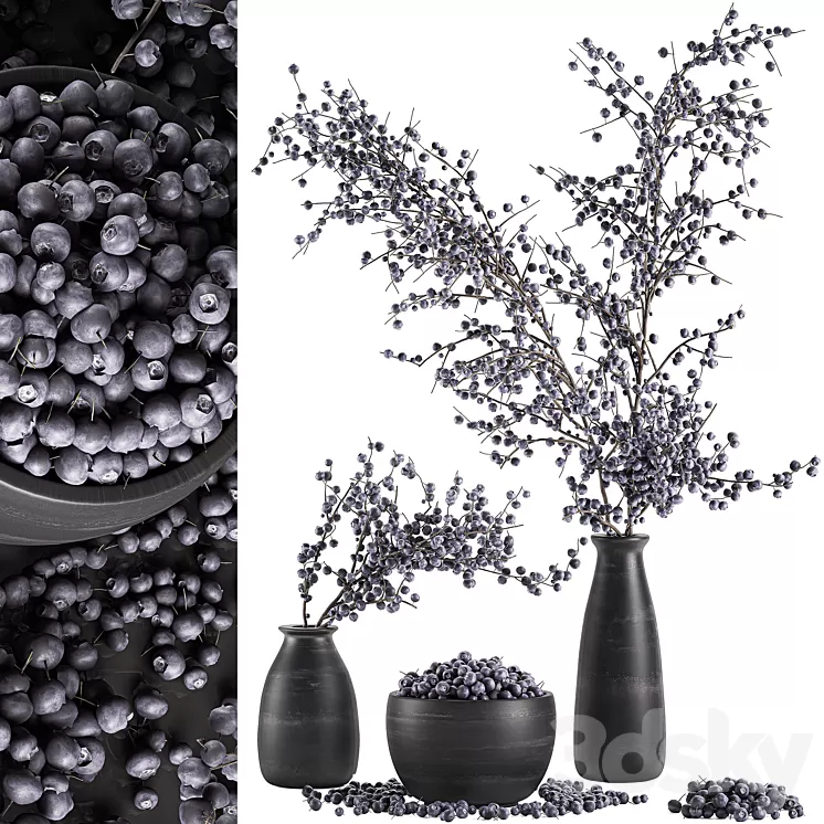 A collection of bouquets of branches with blueberries in black vases with blueberries a bowl with berries natural decor. Set 549. 3D Model