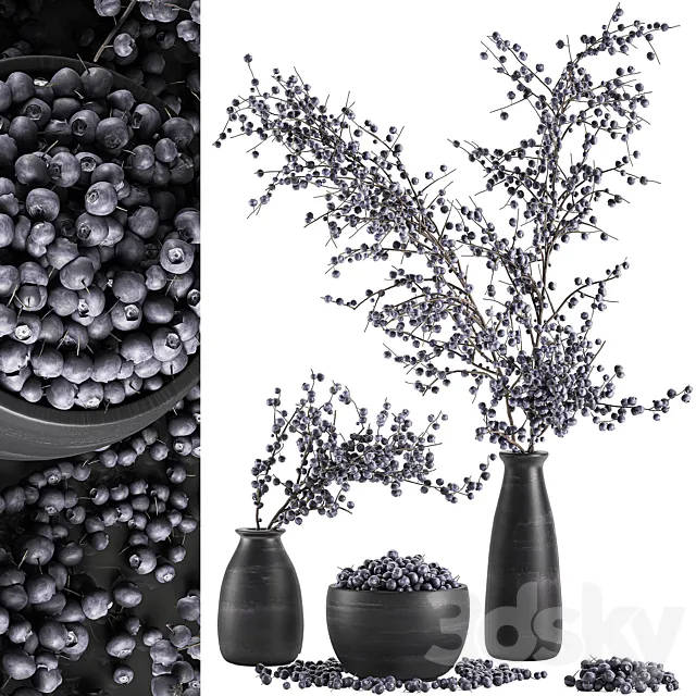 A collection of bouquets of branches with blueberries in black vases with blueberries. a bowl with berries. natural decor. Set 549. 3DModel