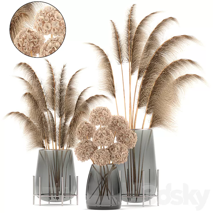 A collection of bouquets of dried flowers in glass vases with Pampas Hydrangea Cortaderia pampas grass reeds. Set 101. 3D Model
