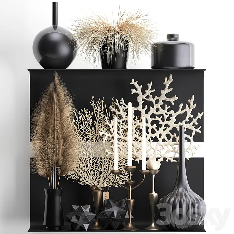 A collection of bouquets of dried flowers in vases on a black metal shelf with pampas coral Cortaderia candlestick. Set 12. 3D Model Free Download