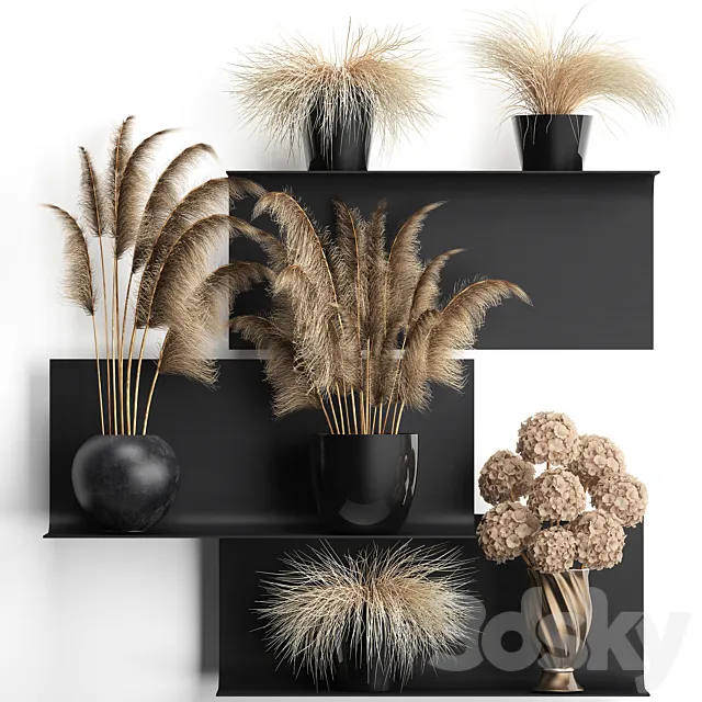 A collection of bouquets of dried flowers in vases on a black metal shelf with pampas. dry hydrangea. Cortaderia. Set 90. 3DModel