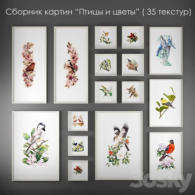 “A collection of paintings of birds and flowers “”” 3D Model Free Download