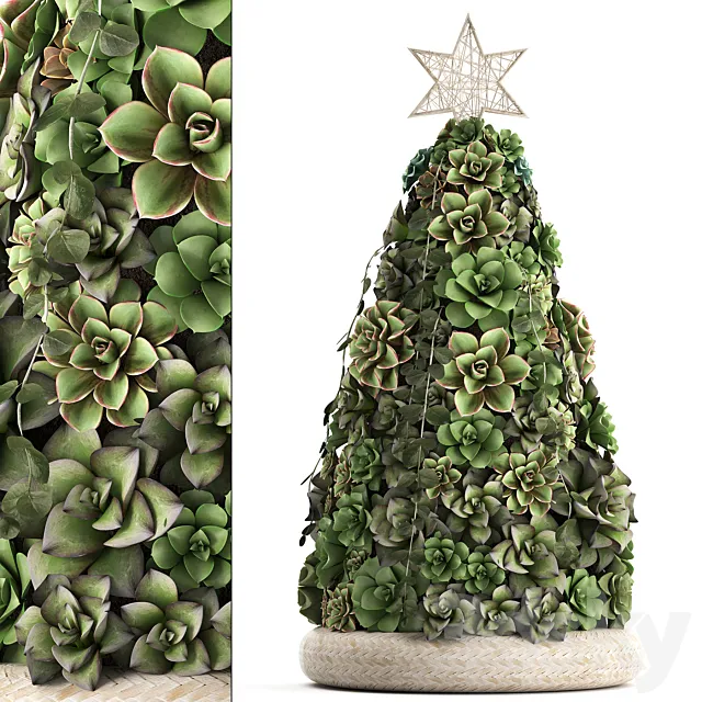 A collection of plants in a composition of succulents. Christmas tree. cake. Echeveria. decoration for the new year. Set 420. 3DModel A collection of plants in a composition of succulents. Christmas tree. cake. Echeveria. decoration for the new year. Set 420. 3DModel