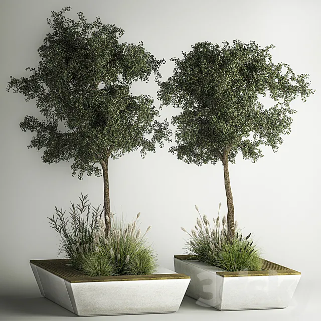 A collection of trees and bushes in flowerpots and a bench for interior and exterior decor shopping center. 1129 3D Model