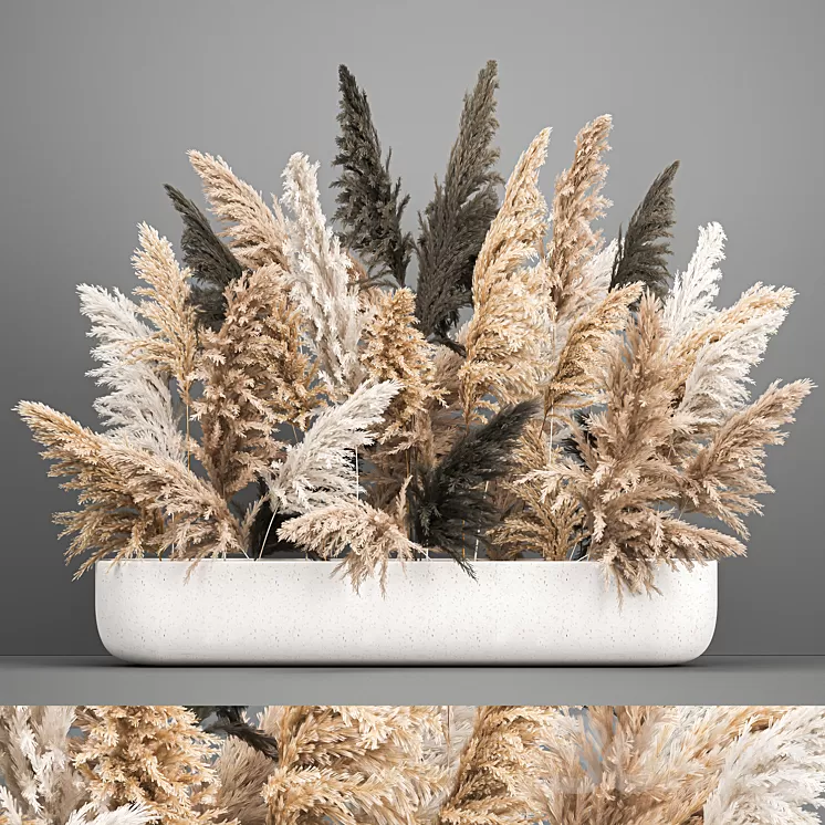A large lush bouquet of dried flowers in a vase with pampas branches Cortaderia. 186. 3D Model A large lush bouquet of dried flowers in a vase with pampas branches Cortaderia. 186. 3D Model