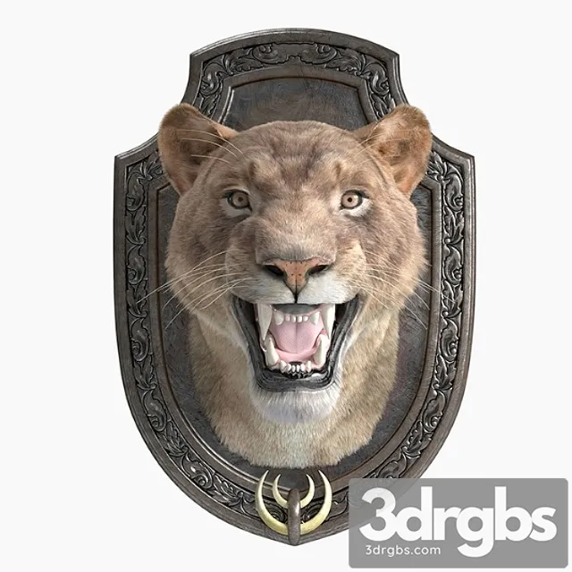 A lion 3D Model Download