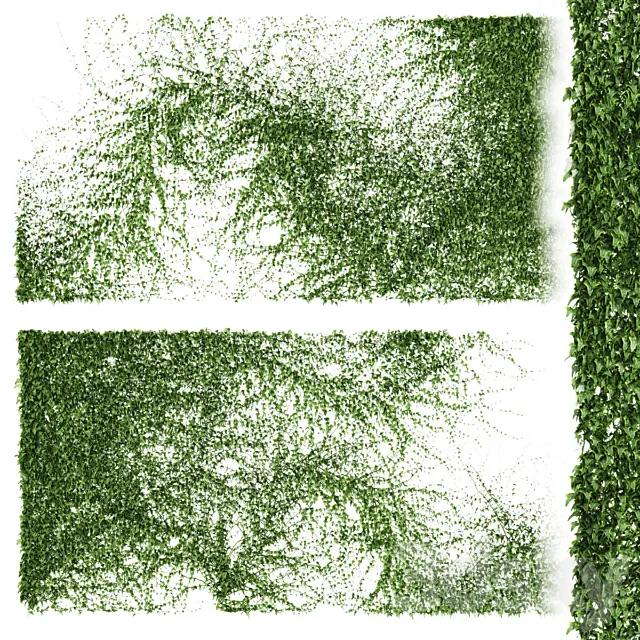 A long wall of ivy. 2 models 3D Model A long wall of ivy. 2 models 3D Model