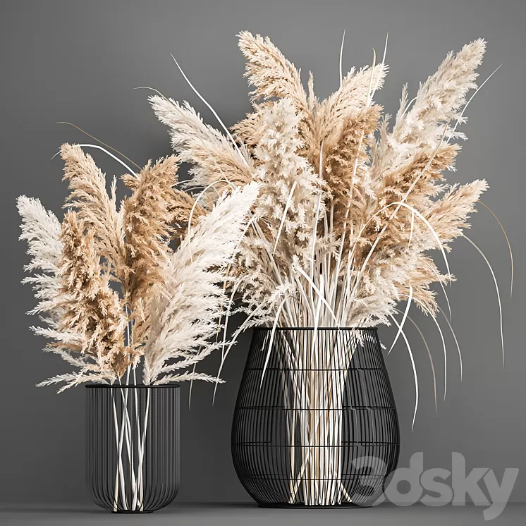 A lush bouquet of dried flowers in a basket with pampas Pampas grass Cortaderia a branch. 192. 3D Model A lush bouquet of dried flowers in a basket with pampas Pampas grass Cortaderia a branch. 192. 3D Model
