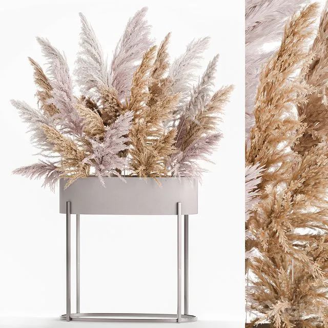 A lush bouquet of dried flowers with pink pampas grass a vase of Cortaderia branches. 190 3D Model A lush bouquet of dried flowers with pink pampas grass a vase of Cortaderia branches. 190 3D Model