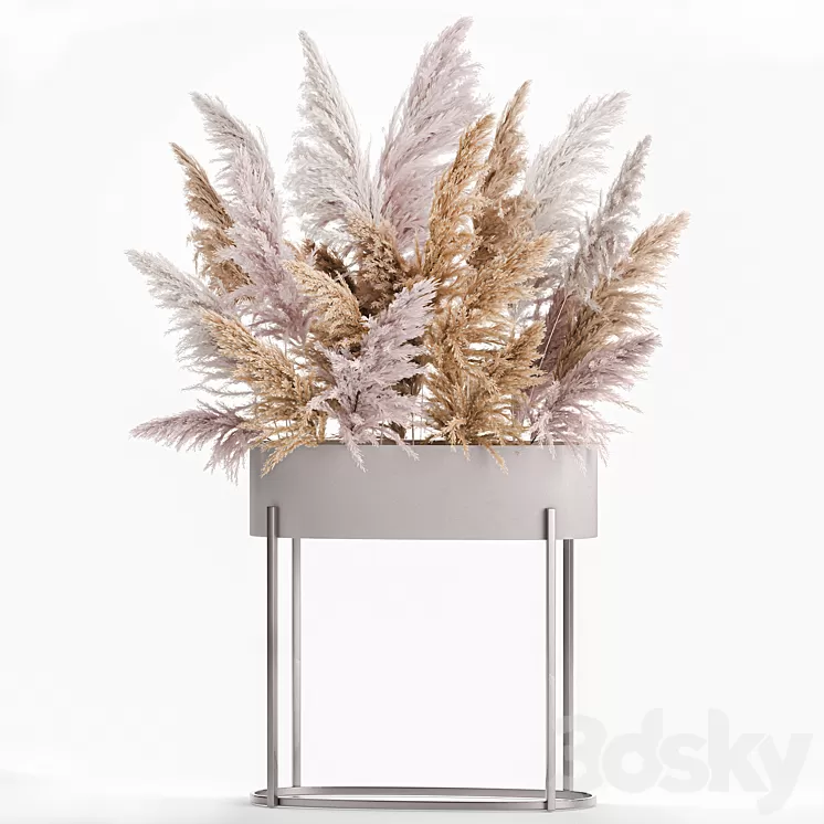 A lush bouquet of dried flowers with pink pampas grass a vase of Cortaderia branches. 190. 3D Model A lush bouquet of dried flowers with pink pampas grass a vase of Cortaderia branches. 190. 3D Model