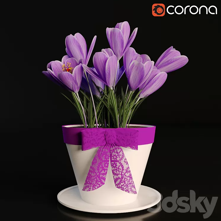 A pot of crocuses 3D Model A pot of crocuses 3D Model