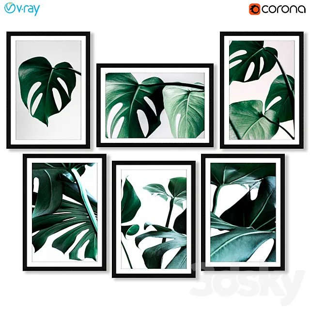 A series of posters with a Monster plant (Monstera) 3D Model A series of posters with a Monster plant (Monstera) 3D Model