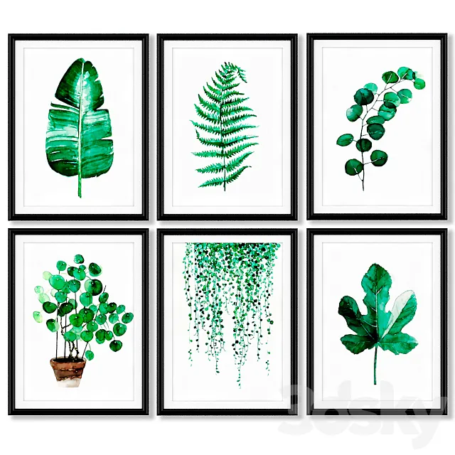 A series of posters with tropical plants. 3D Model A series of posters with tropical plants. 3D Model