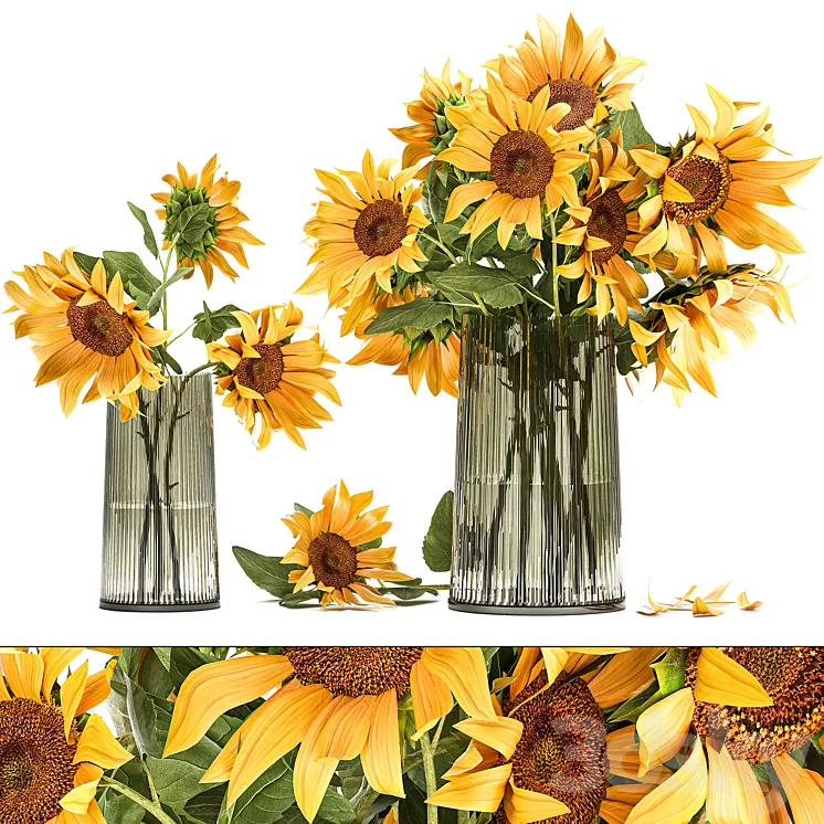 A set of beautiful bouquets of yellow flowers in a vase with Sunflower Sunflower. 119 3D Model