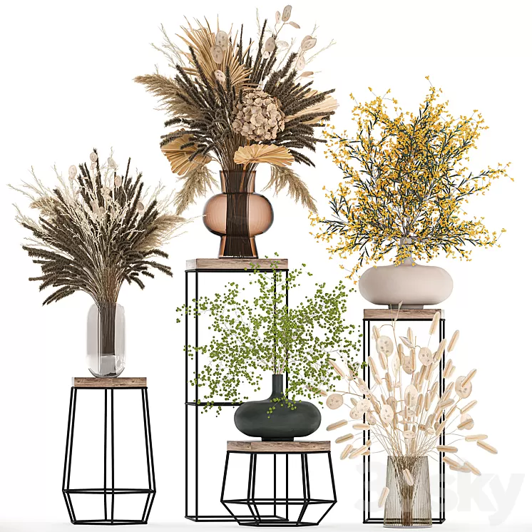 A set of bouquets of dried flowers in vases for decoration on shelves branches pampas grass. 216. 3D Model Free Download