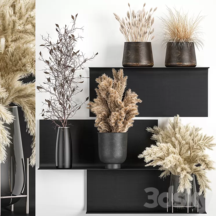 A set of bouquets of dried flowers in vases on a black metal shelf made of Pampas branches reeds. 119 3D Model