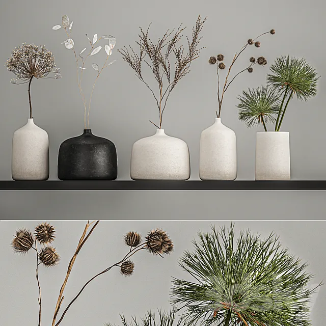 A set of bouquets of dried flowers in vases on the shelf with branches thorns lunnik hogweed. 210 3D Model A set of bouquets of dried flowers in vases on the shelf with branches thorns lunnik hogweed. 210 3D Model