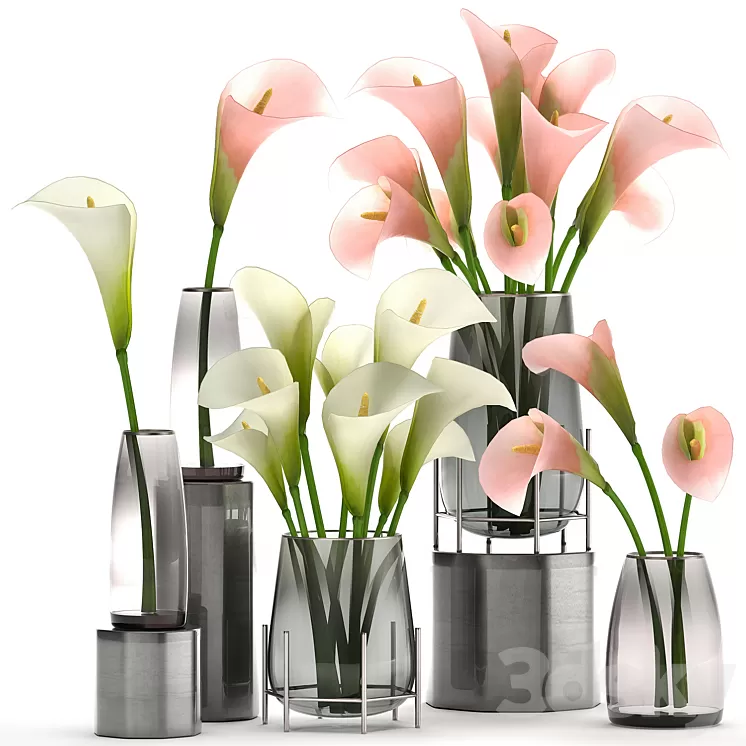 A set of bouquets of white and pink flowers in a glass vase of Calla sadovaya. 114. 3D Model