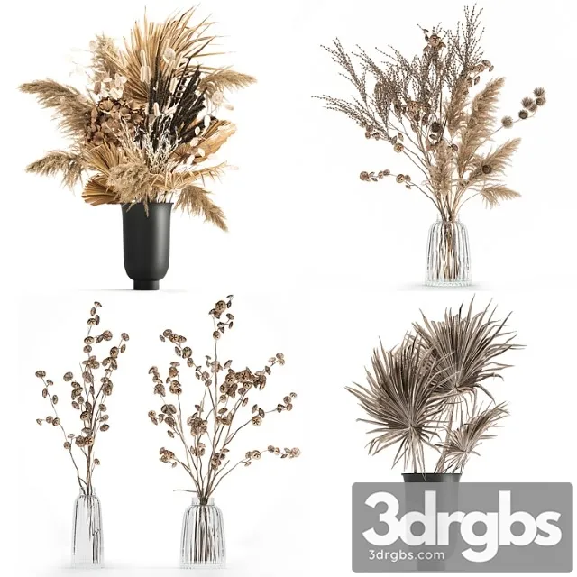 A Set of Flower Bouquets In Vases Of Dried Flowers palm Branch Pampas Grass Reed Grass Hydrangea Thorns 283 3D Model Download