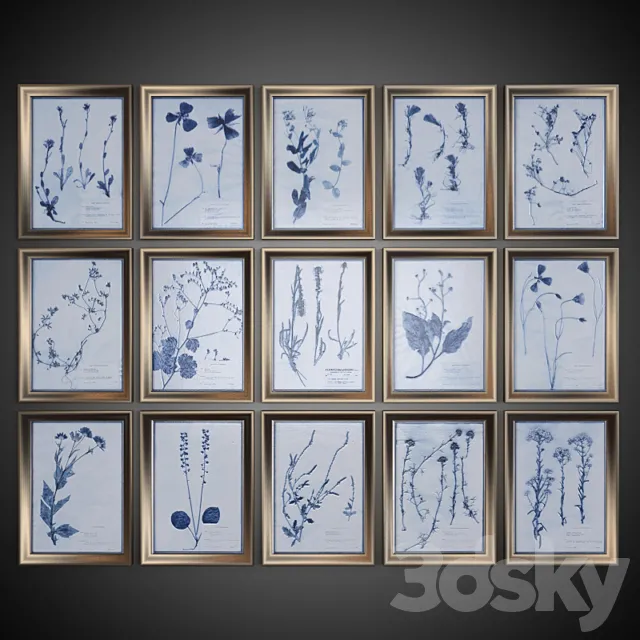 A set of pictures “Dried Flowers” 3D Model A set of pictures “Dried Flowers” 3D Model