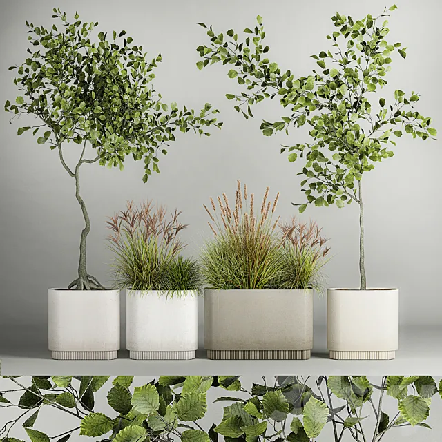 A set of plants with trees for the street and interior a flowerpot with bushes potted grass. 1124. 3D Model