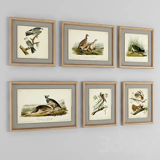 A set of posters. Birds 2 3D Model A set of posters. Birds 2 3D Model