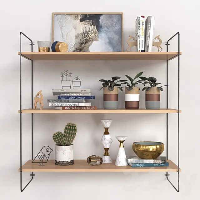A set of shelves 3D Model