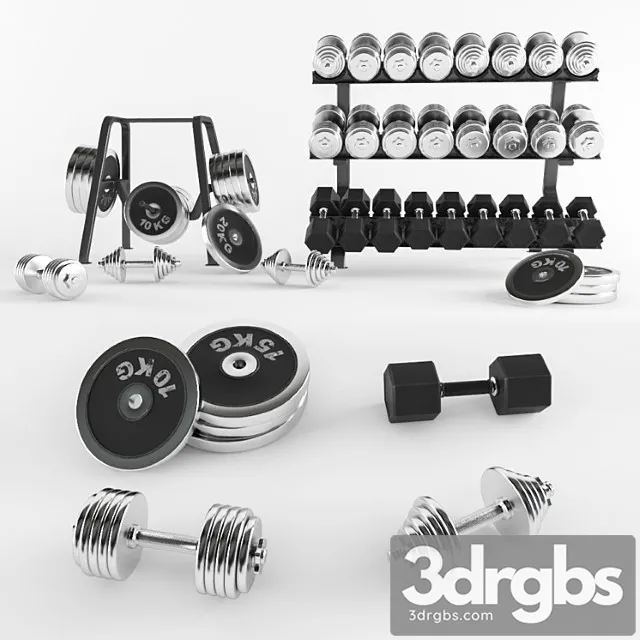 A Set Of Sports Dumbbells and Pancakes on the Racks 3D Model Download