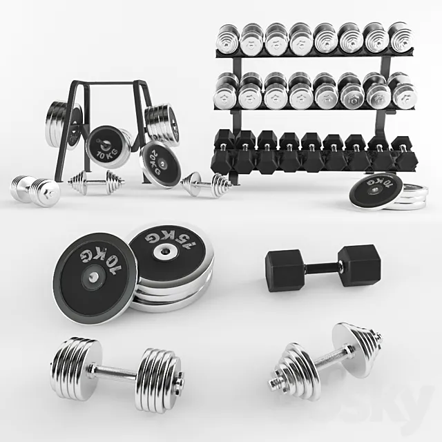 A set of sports dumbbells and pancakes on the racks. 3D Model