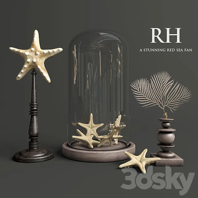 A stunning red sea fan 3DModel A stunning red sea fan 3DModel