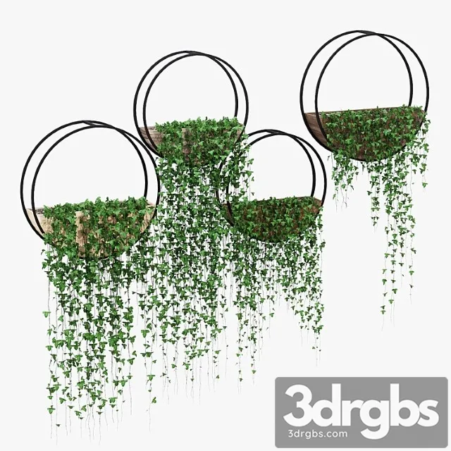 Aarush round Aarush round