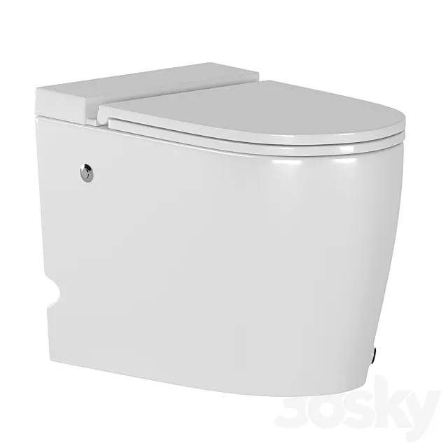 ABBER Bequem side-mounted toilet with pulse flush 3D Model