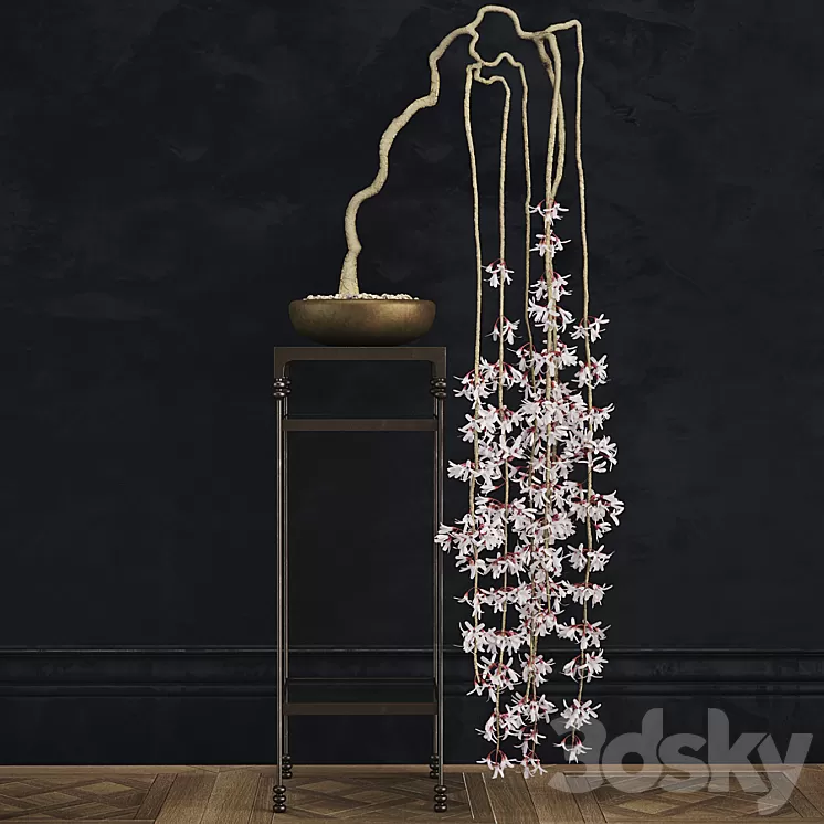 abeliophyllum bonsai 3D Model abeliophyllum bonsai 3D Model