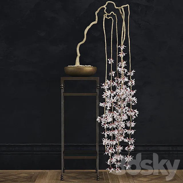 abeliophyllum bonsai 3DModel abeliophyllum bonsai 3DModel