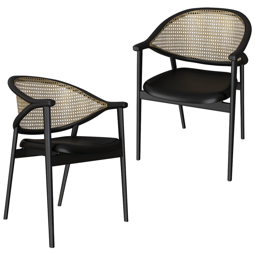 Accento SRL  – Chair Disegno-umami 3D Model