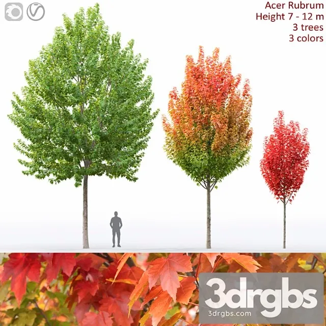 Acer 2 3D Model Download Acer 2 3D Model Download