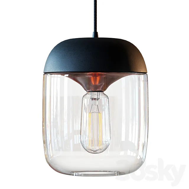 Acorn Black Hanging Lamp by Vita copenhagen 3D Model