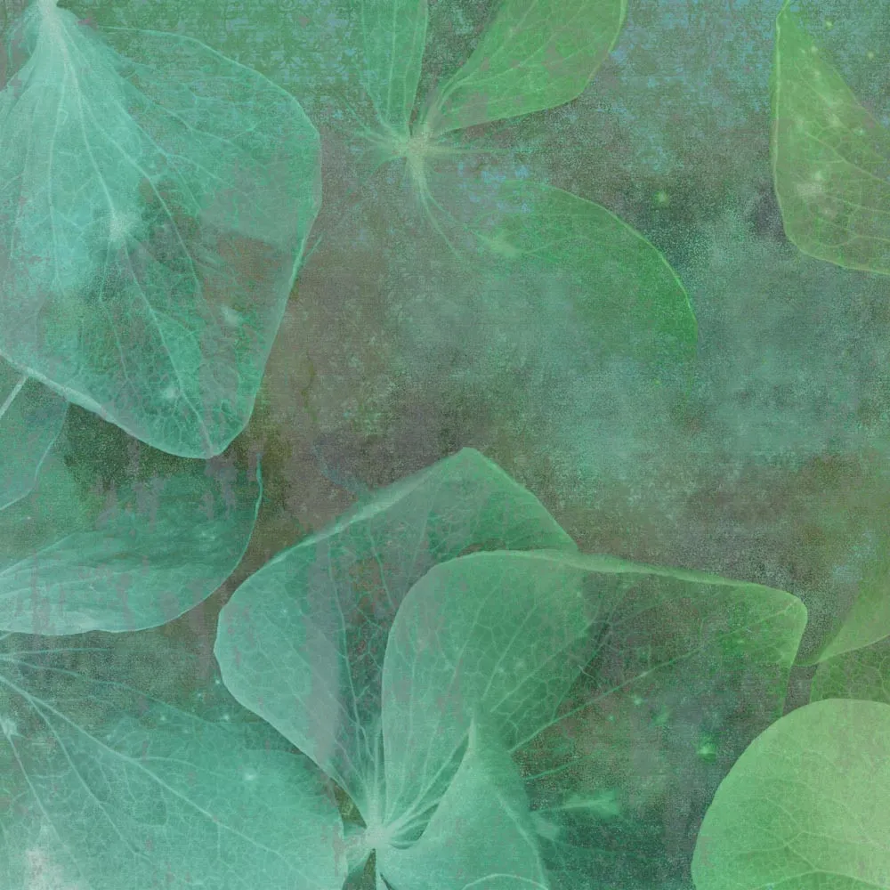 Affreschi & Affreschi  – Wallpaper AH-58 3D Model