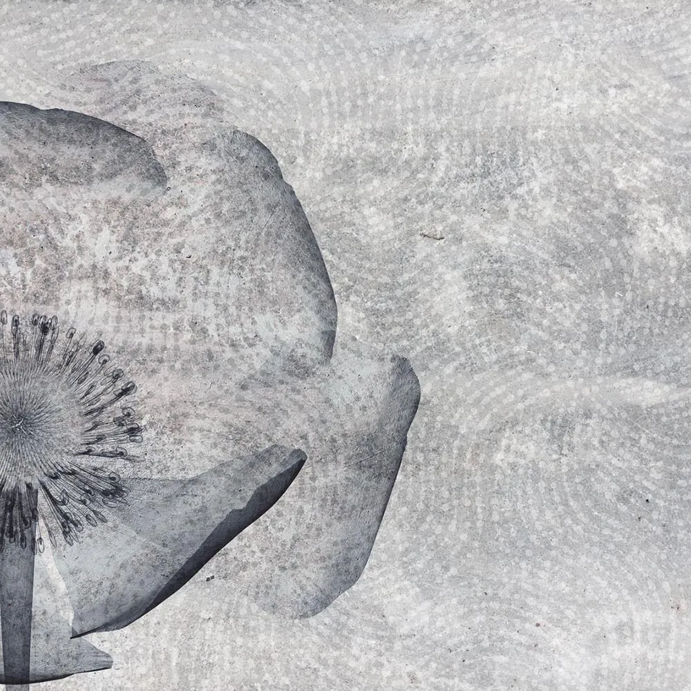 Affreschi & Affreschi  – Wallpaper AH-67 3D Model