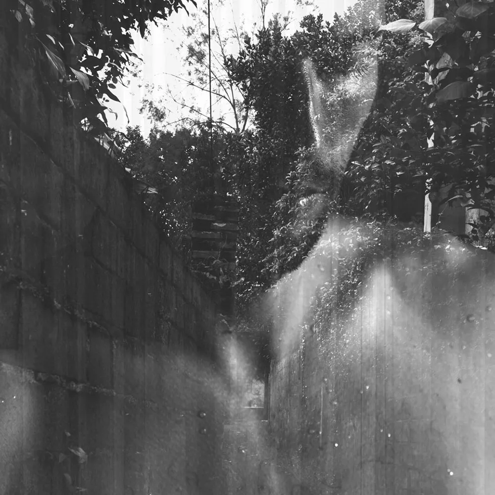 Affreschi & Affreschi  – Wallpaper AY-119 3D Model